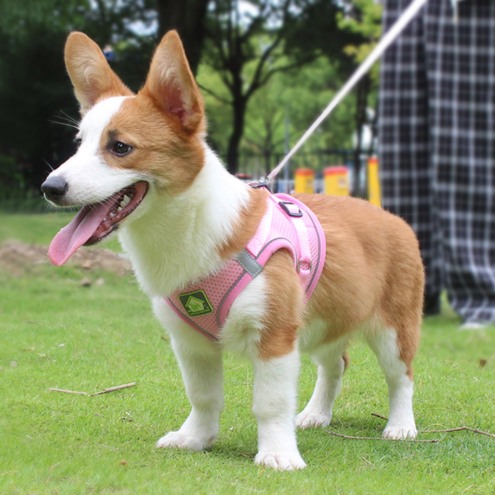 Dog Harness Pet Supplies